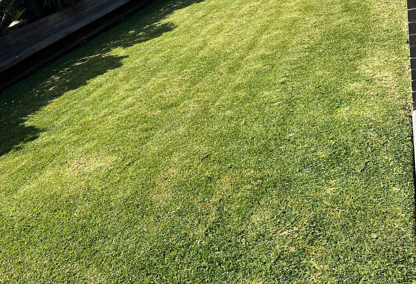 LAWN MOWING IN MELBOURNE